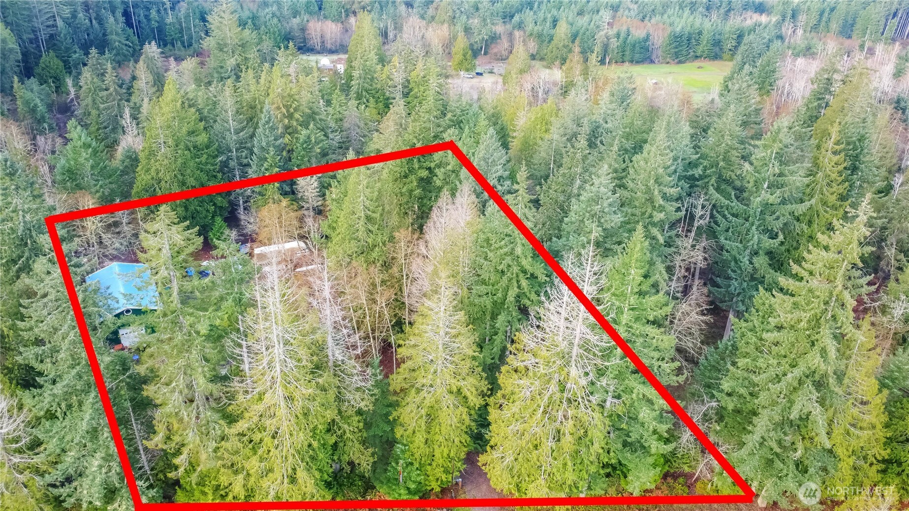 3910 E Harstine Island Road S, Shelton, WA 98584