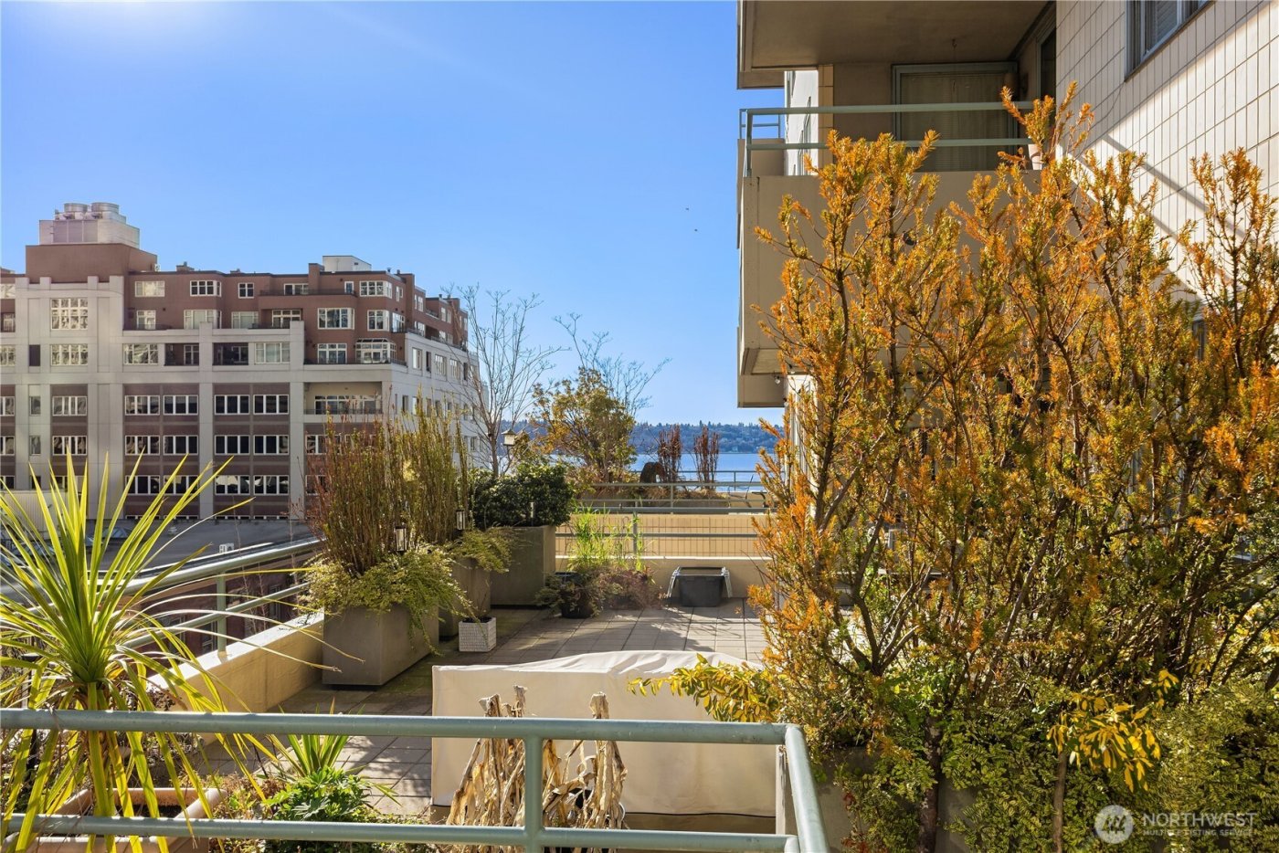 1107 1st Avenue #602, Seattle, WA 98101-2944