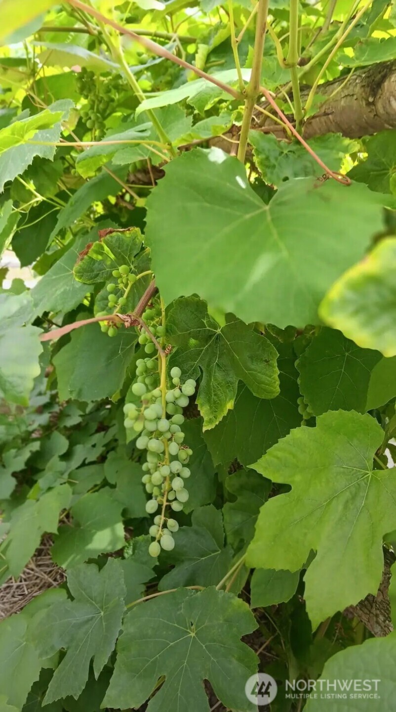 47367 State Route 20 , Concrete, WA 98237