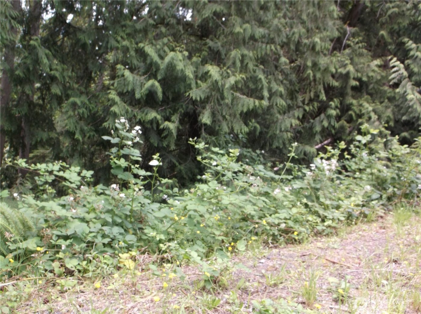 18012 123rd Place NE, Arlington, WA 98223-7102