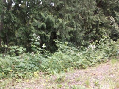 18012 123rd Place NE, Arlington, WA 98223-7102