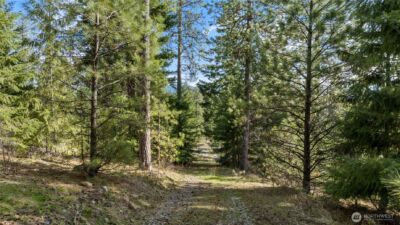 0 Lot B R&R Heights Drive , Roslyn, WA 98941 - Photo 3