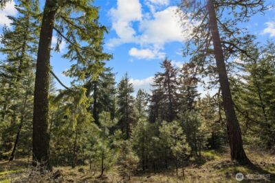0 Lot B R&R Heights Drive , Roslyn, WA 98941 - Photo 6