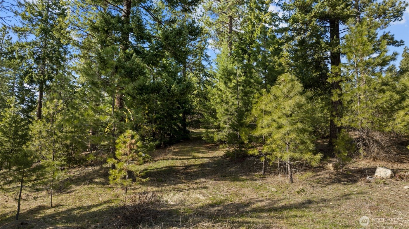 0 Lot B R&R Heights Drive , Roslyn, WA 98941