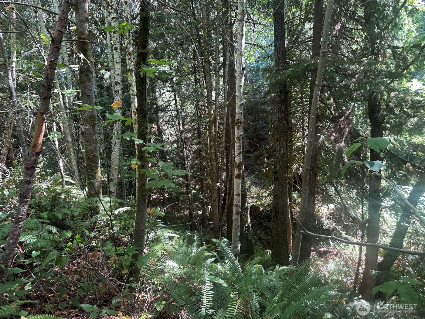 22222 E Quilcene Road , Quilcene, WA 98376