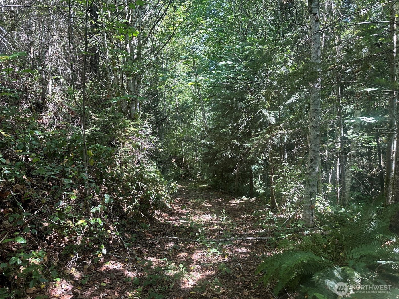 22222 E Quilcene Road , Quilcene, WA 98376