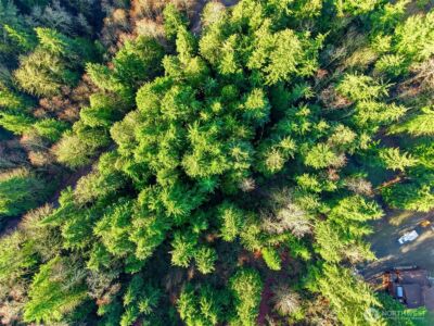 2514 177th Avenue NE, Snohomish, WA 98290 - Photo 22