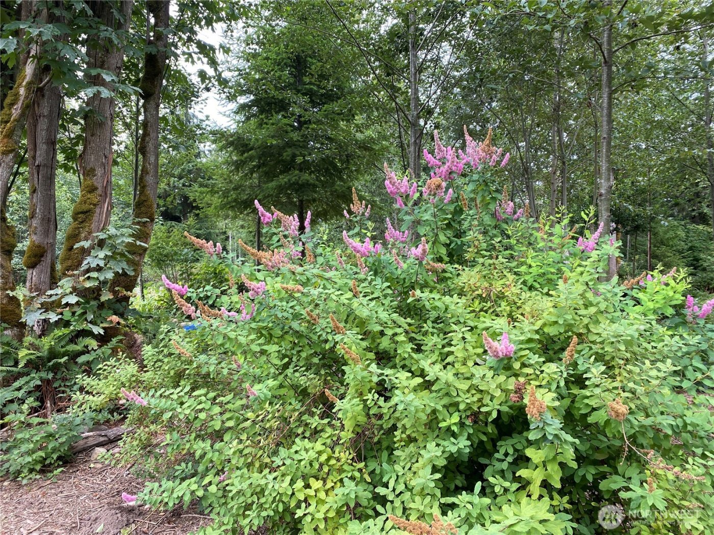 2514 177th Avenue NE, Snohomish, WA 98290