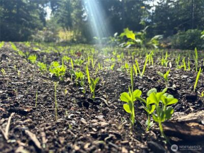 2514 177th Avenue NE, Snohomish, WA 98290 - Photo 8