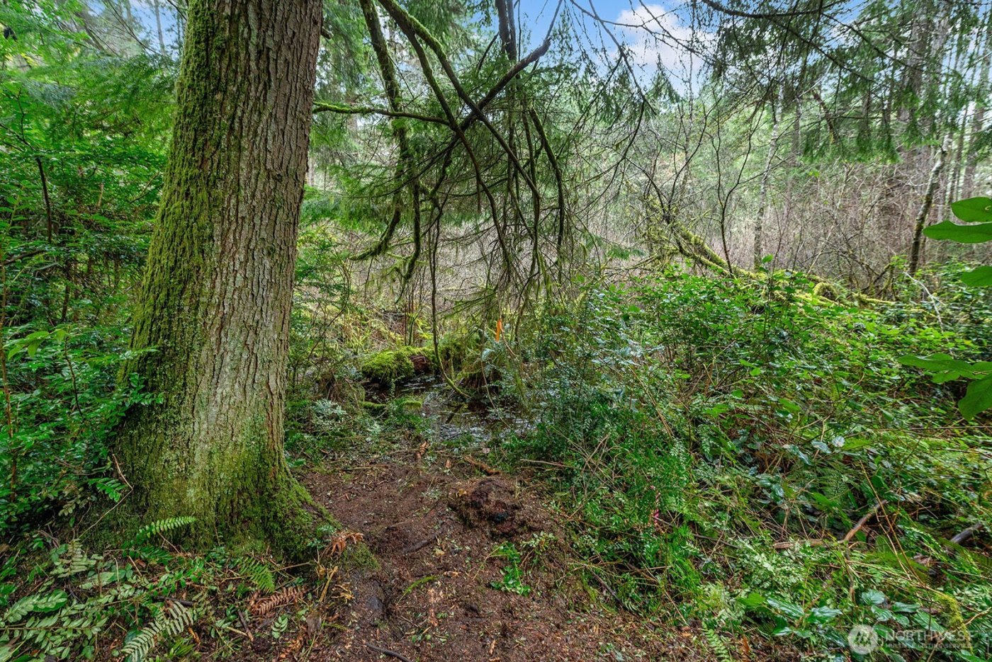 0 SW 220th Street , Vashon, WA 98070