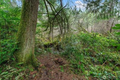 0 SW 220th Street , Vashon, WA 98070