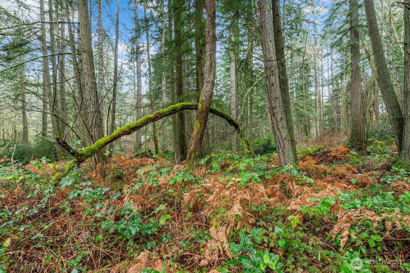 0 SW 220th Street , Vashon, WA 98070