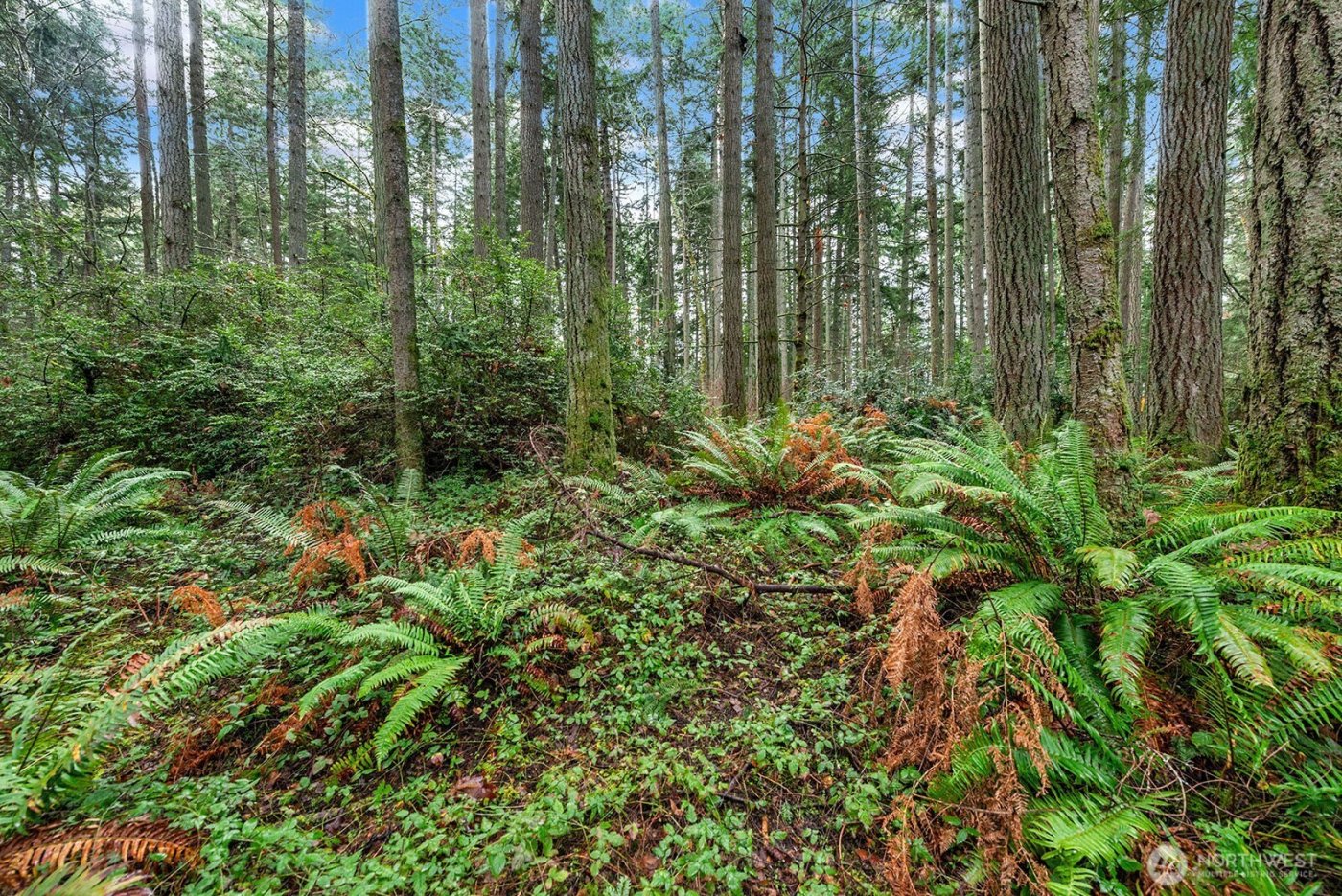 0 SW 220th Street , Vashon, WA 98070