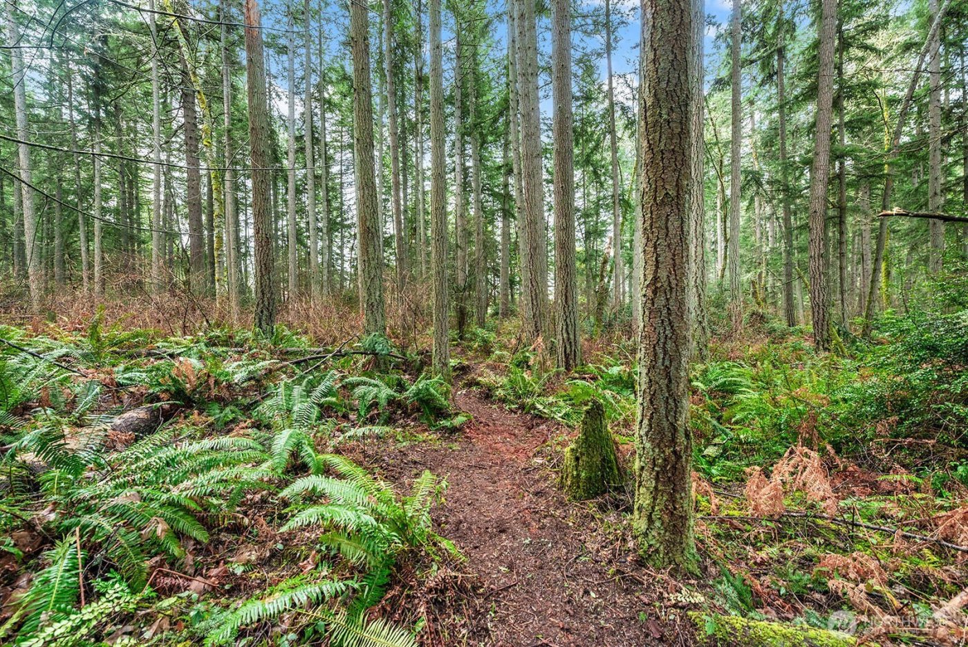 0 SW 220th Street , Vashon, WA 98070