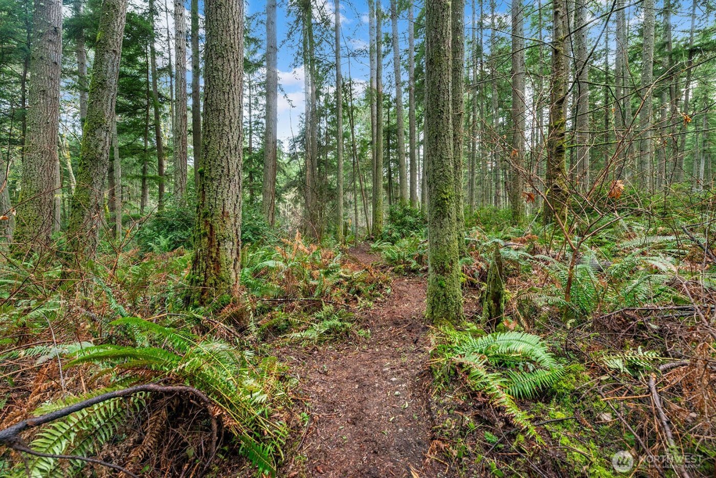 0 SW 220th Street , Vashon, WA 98070