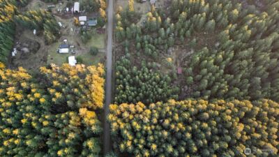 0 W Lost Lake Road , Shelton, WA 98584 - Photo 10