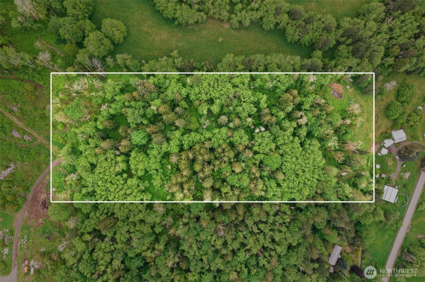 0 X Salmon Creek Road , Mossyrock, WA 98564