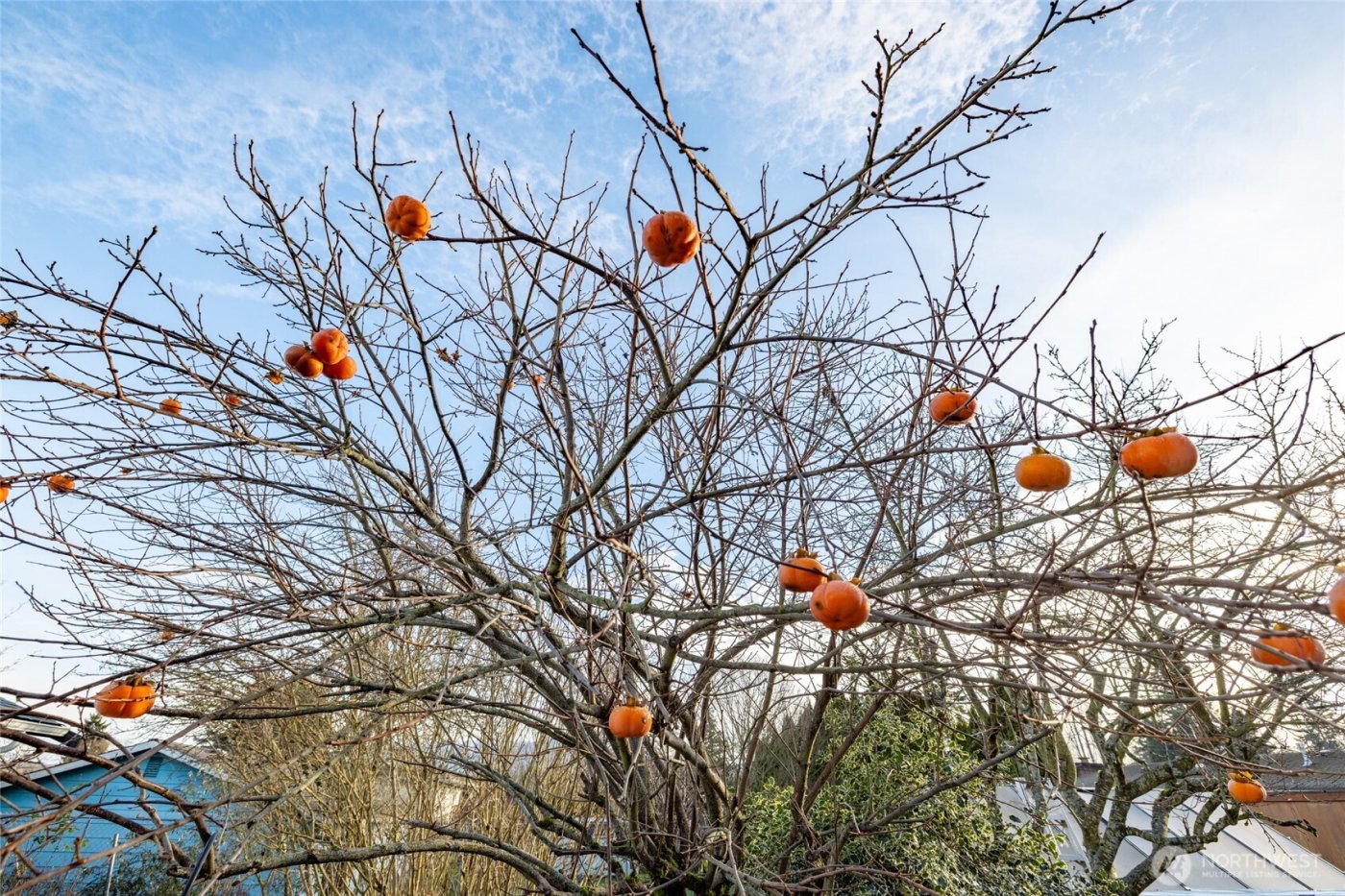 2012 E Belair Drive , Mount Vernon, WA 98273