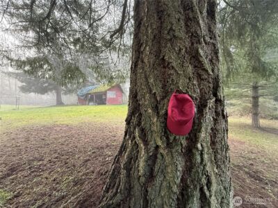 24124 94th Avenue E, Graham, WA 98338 - Photo 14