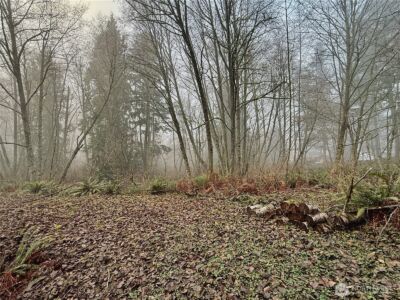 24124 94th Avenue E, Graham, WA 98338 - Photo 36