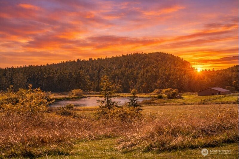 1062 Wold Road , Friday Harbor, WA 98250