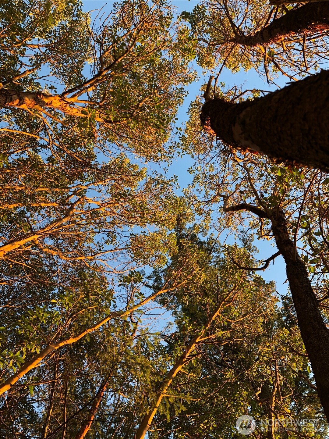 185 Lucky Way , Friday Harbor, WA 98250