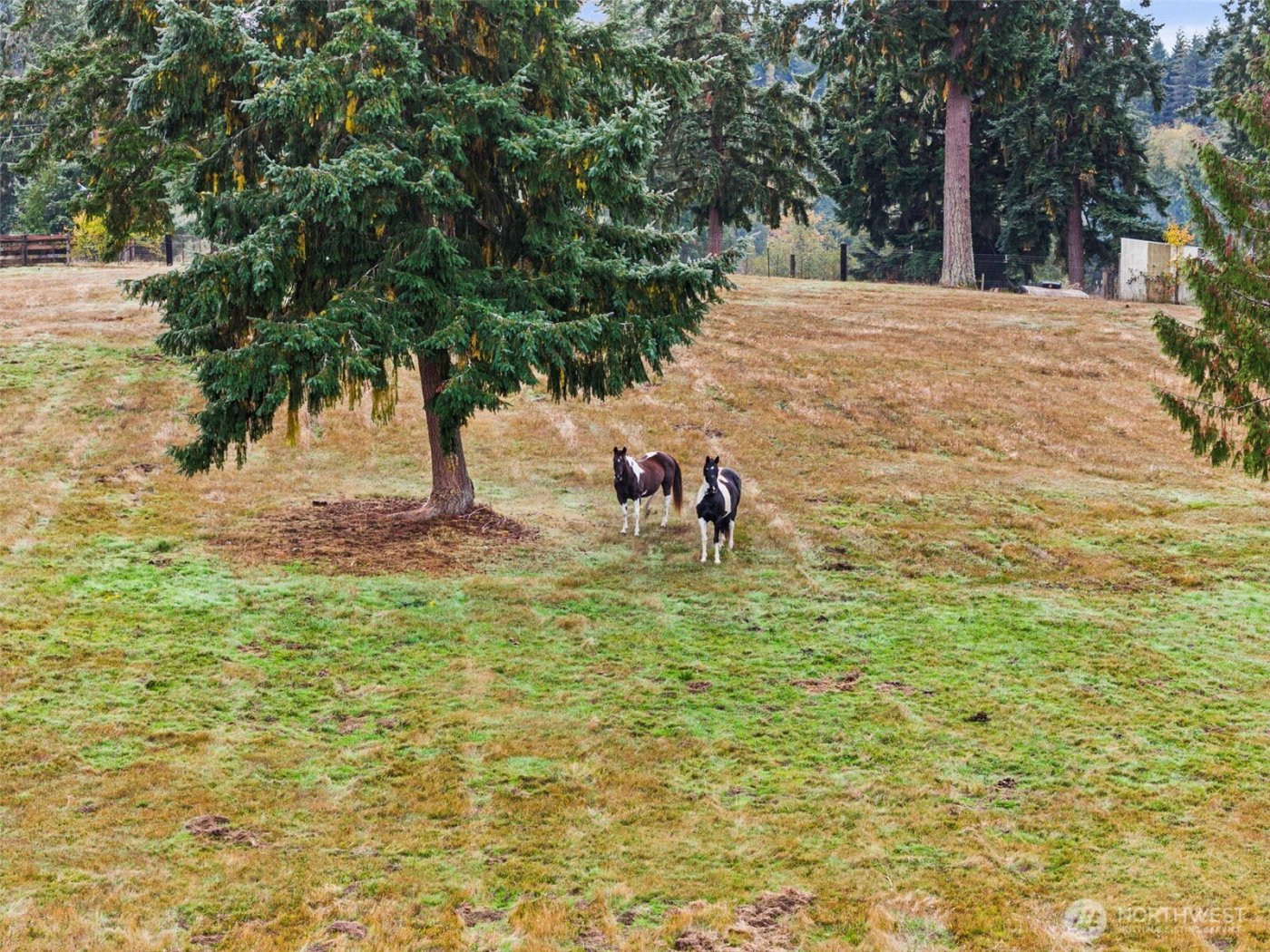 207 Ramsaur Road , Centralia, WA 98531