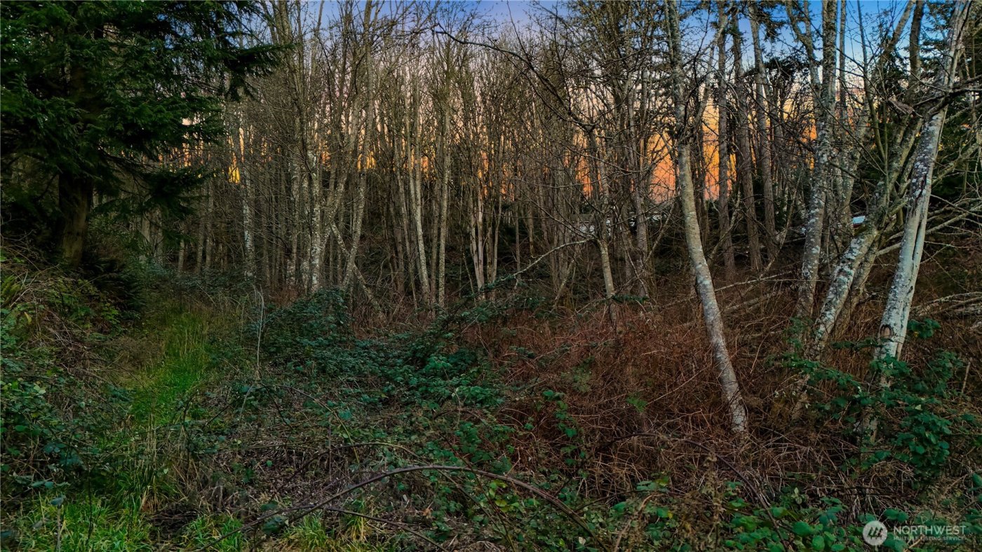 927 Grennan Place , Camano Island, WA 98282