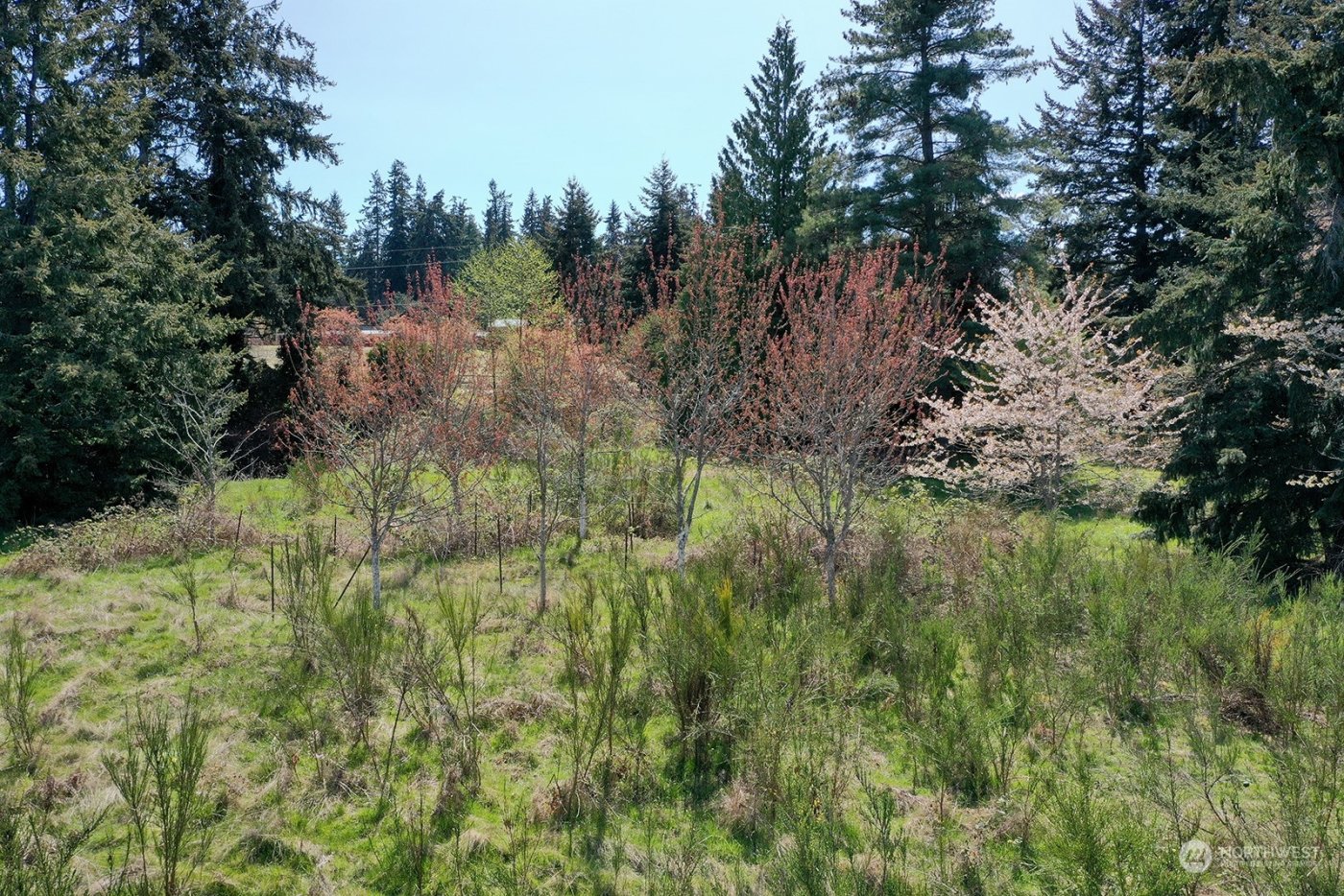 5493 Woodard Avenue , Freeland, WA 98249