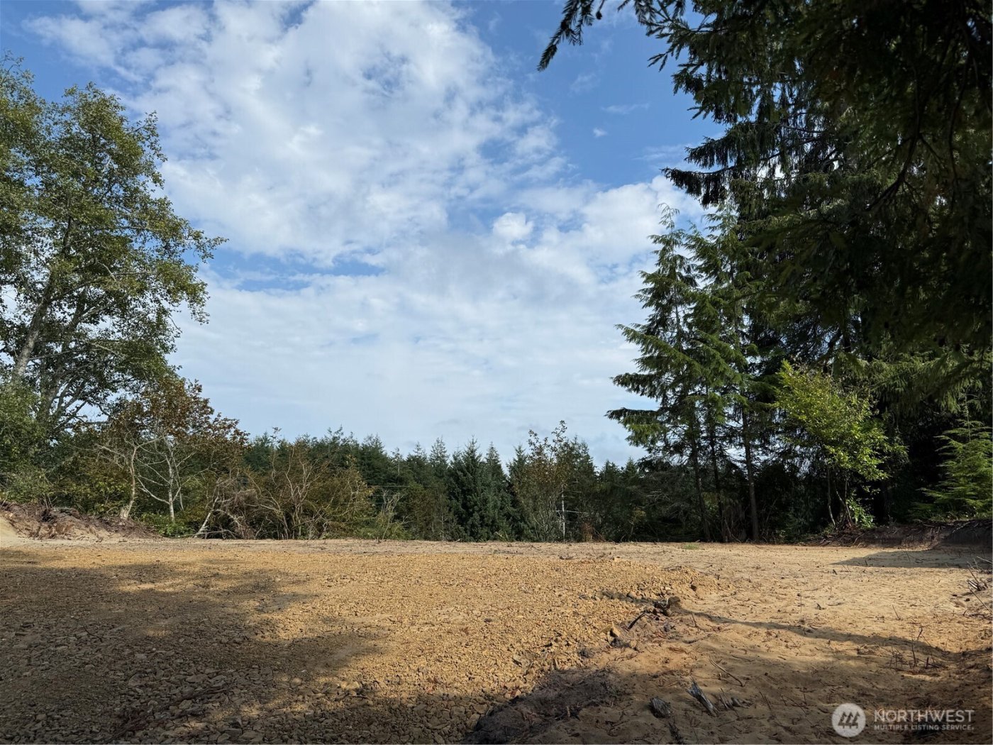 3220 241st Place , Ocean Park, WA 98640