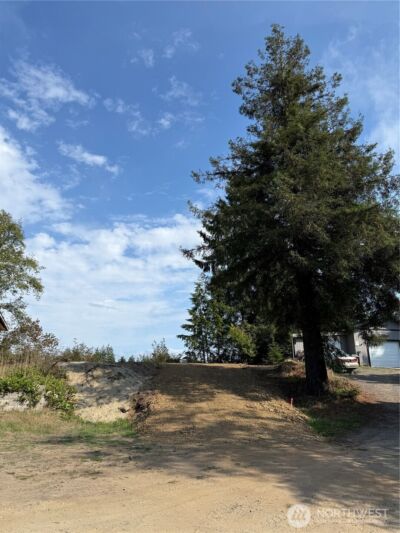 3220 241st Place , Ocean Park, WA 98640 - Photo 3