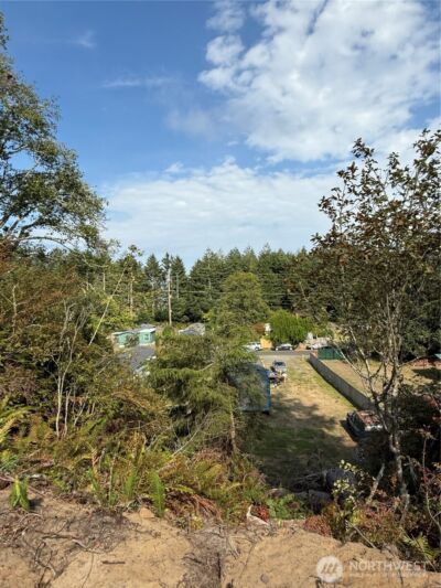 3220 241st Place , Ocean Park, WA 98640 - Photo 6