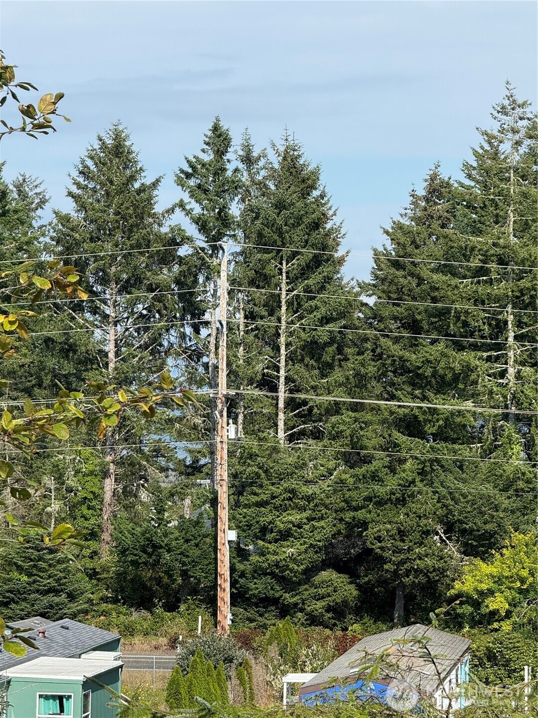 3220 241st Place , Ocean Park, WA 98640