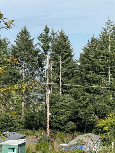 3220 241st Place , Ocean Park, WA 98640 - Photo 7