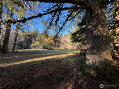 1329 State Route 4 , Naselle, WA 98638 - Photo 11