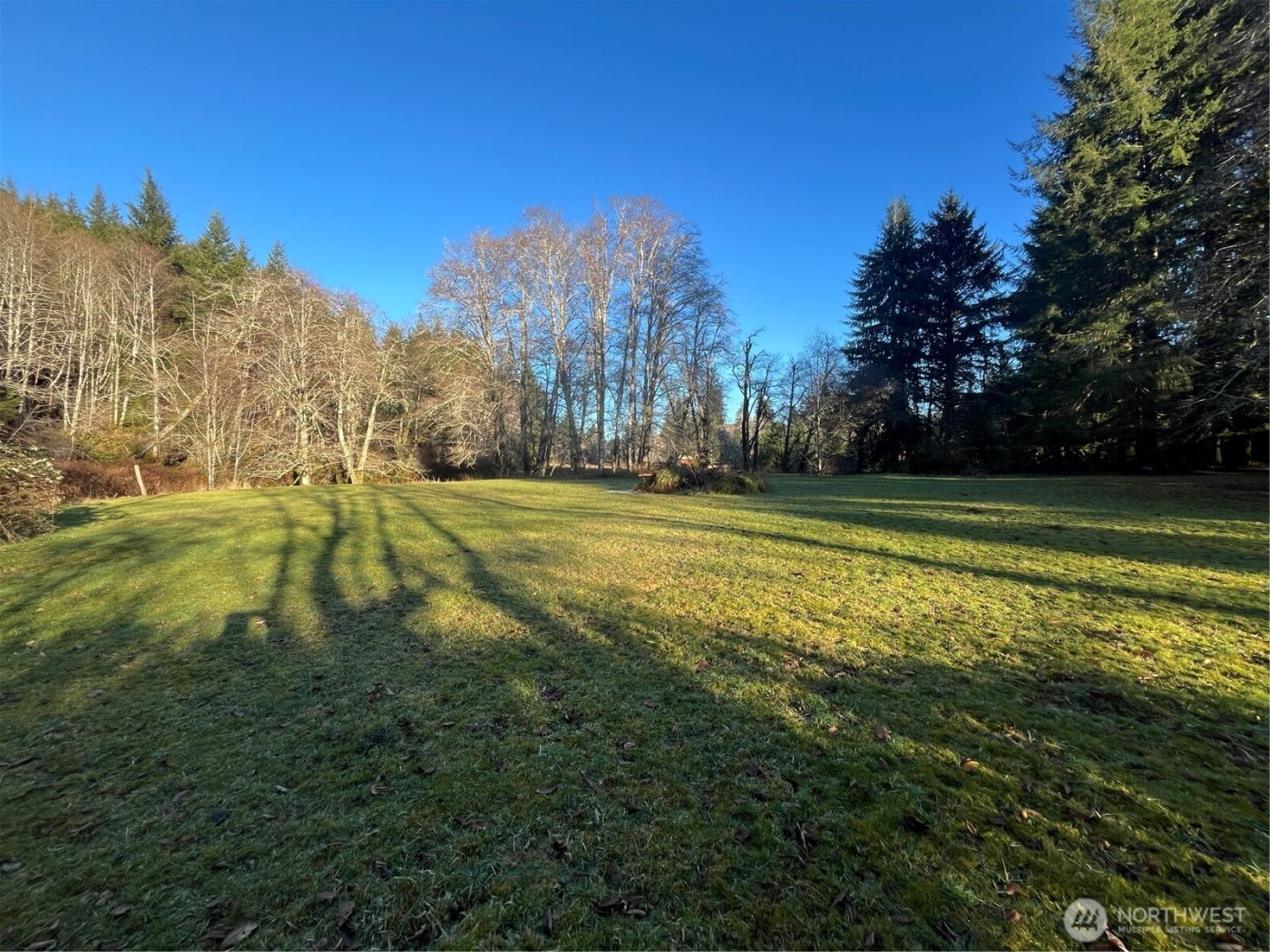 1329 State Route 4 , Naselle, WA 98638