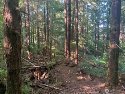 4 Tract Parpala Road , Naselle, WA 98638 - Photo 1