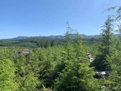 4 Tract Parpala Road , Naselle, WA 98638 - Photo 13