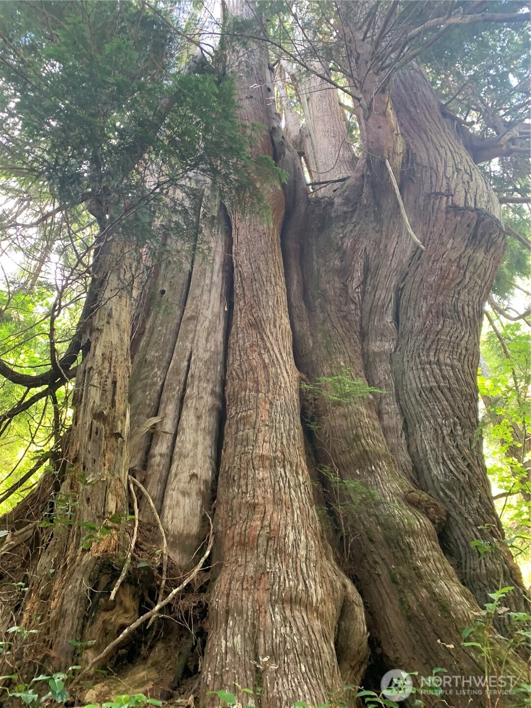 4 Tract Parpala Road , Naselle, WA 98638