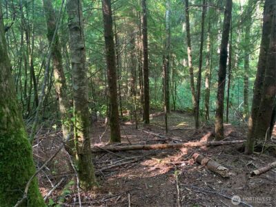 4 Tract Parpala Road , Naselle, WA 98638 - Photo 6