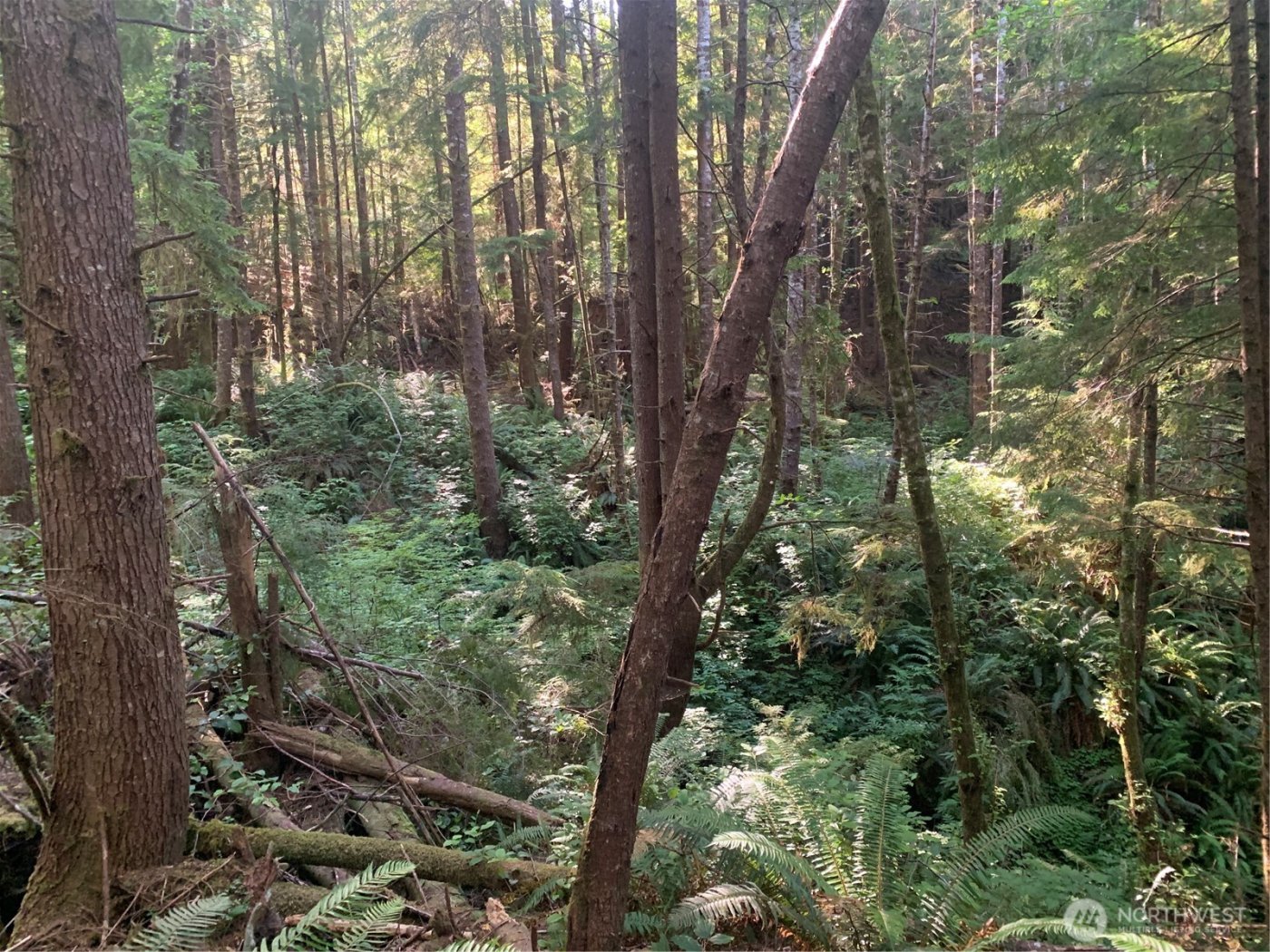 4 Tract Parpala Road , Naselle, WA 98638