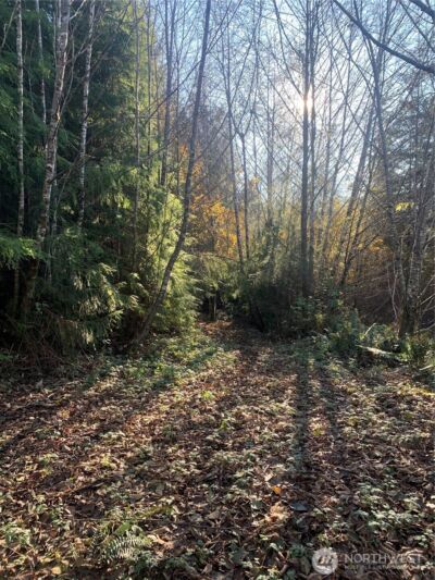 3 Tract Parpala Road , Naselle, WA 98638 - Photo 1