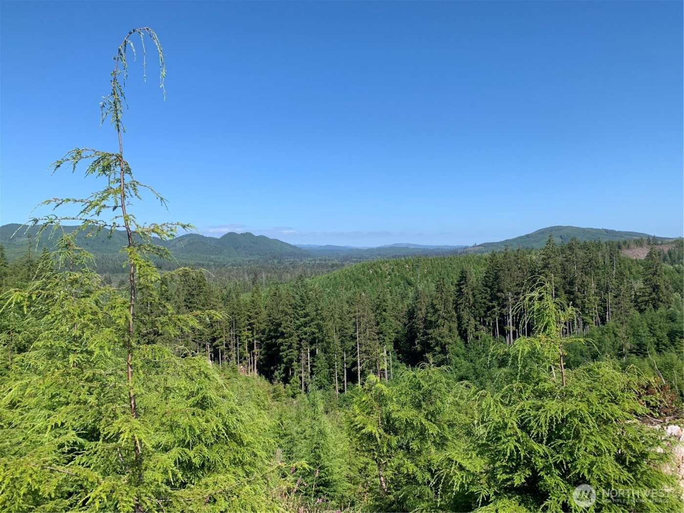 3 Tract Parpala Road , Naselle, WA 98638