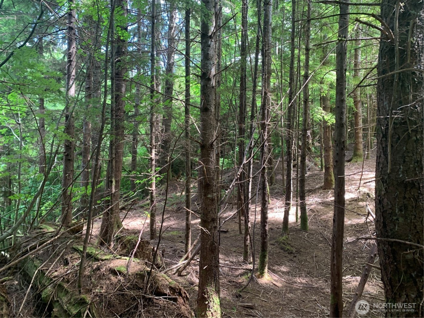 3 Tract Parpala Road , Naselle, WA 98638