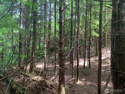 3 Tract Parpala Road , Naselle, WA 98638 - Photo 20