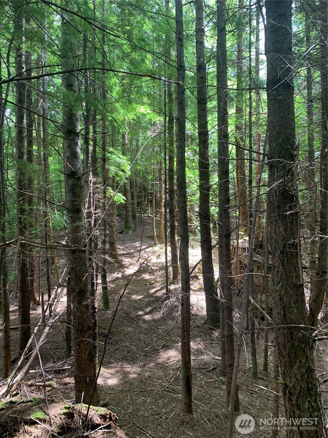 3 Tract Parpala Road , Naselle, WA 98638