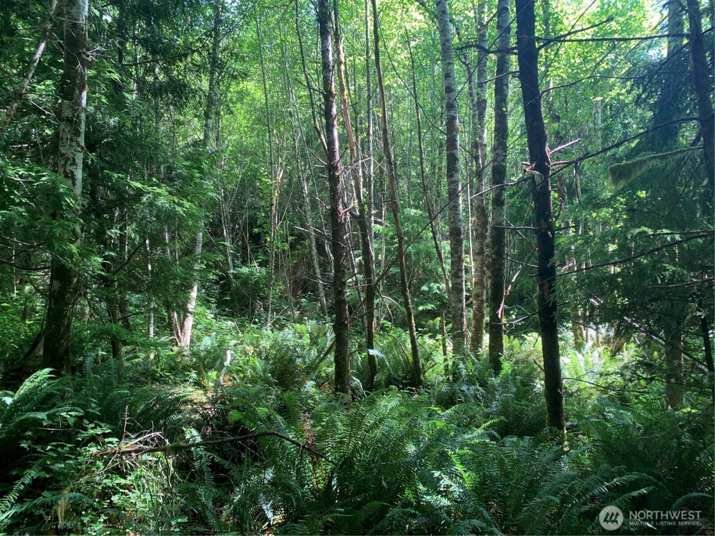 3 Tract Parpala Road , Naselle, WA 98638