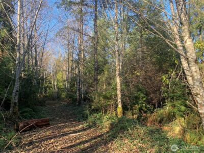 3 Tract Parpala Road , Naselle, WA 98638 - Photo 24