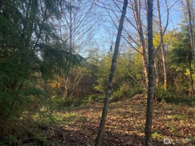 3 Tract Parpala Road , Naselle, WA 98638 - Photo 25