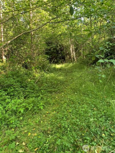 2 Tract Parpala Road , Naselle, WA 98638 - Photo 1